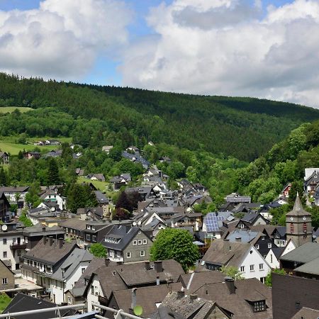 Beautiful Apartment In Willingen With Balcony Zewnętrze zdjęcie